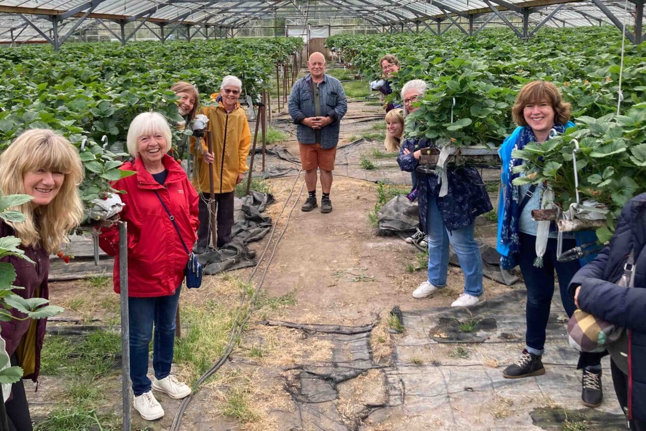 Staff outing to the Strawberry farm