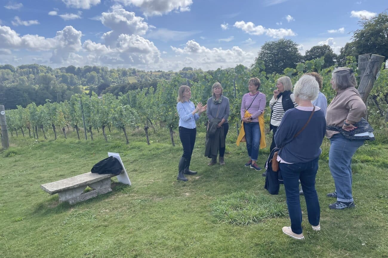 Staff visit to Hambledon Vineyard - Sept 2025
