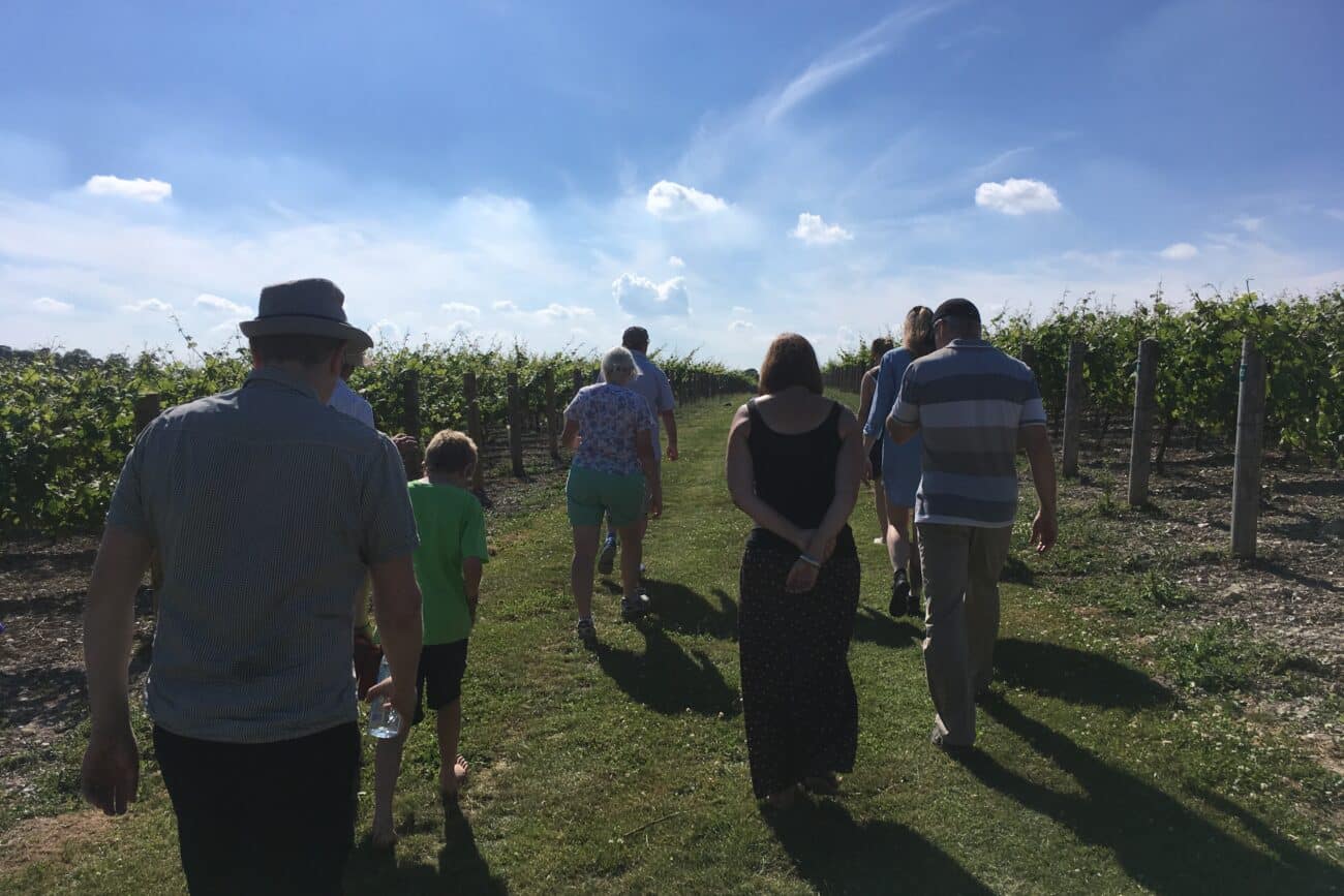 Staff visit to Exton Park Vineyard