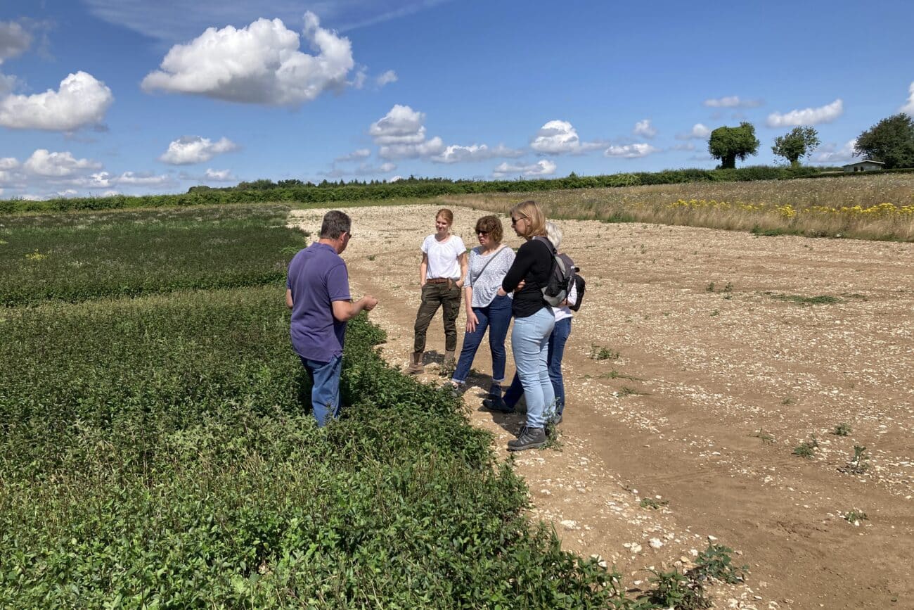 Staff visit to Summerdown Peppermint Farm
